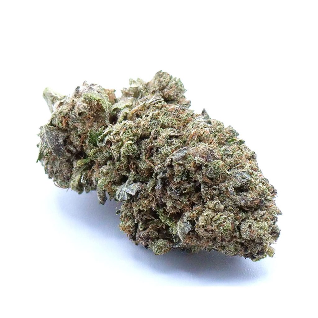#9 Blackberry
