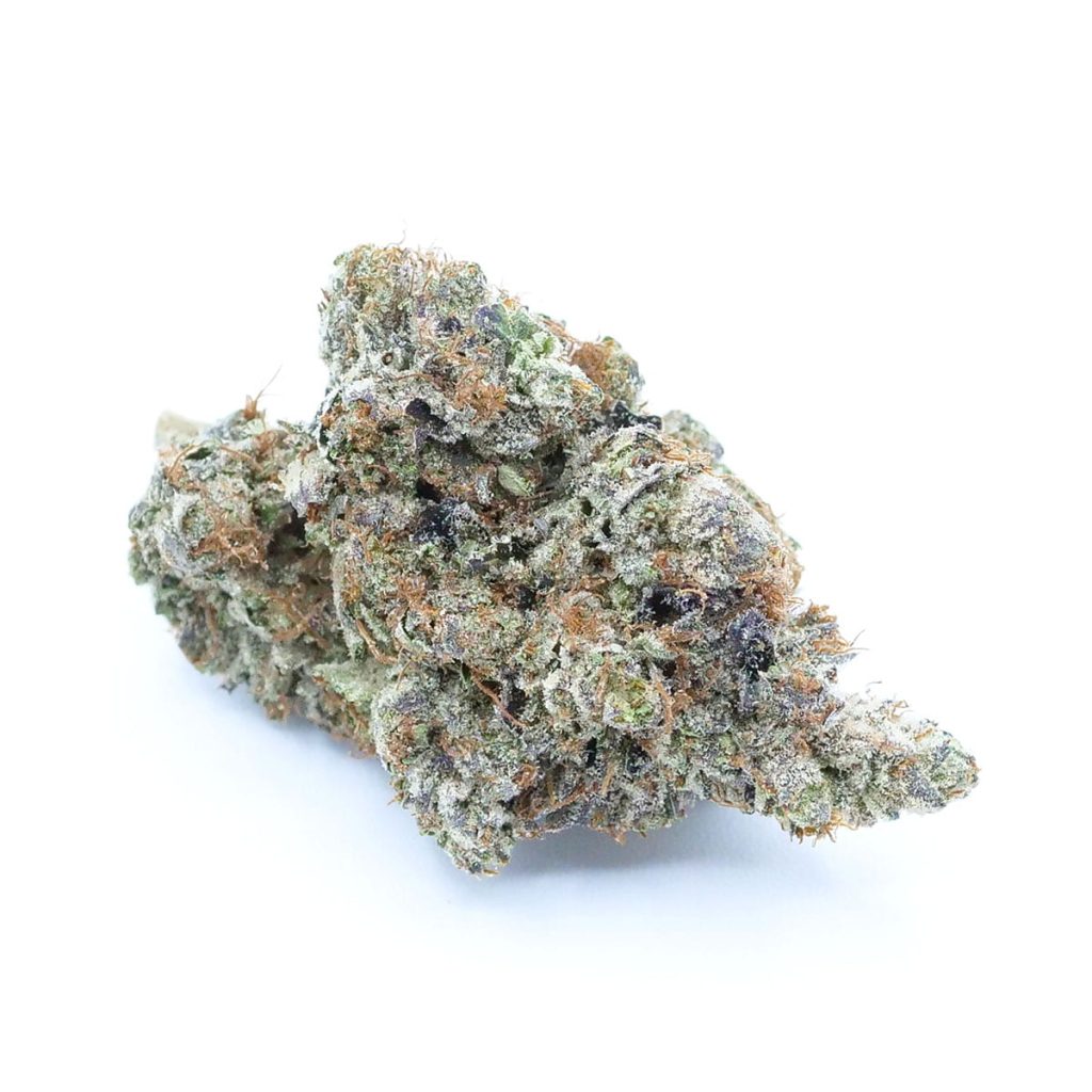 ‘88 G13 Hashplant