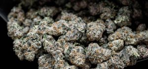 Cheap Weed – The True Cost of Cannabis Savings